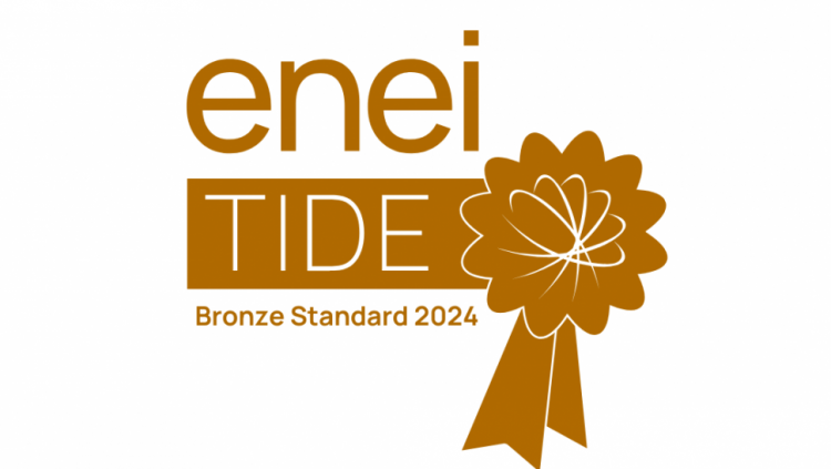 Bronze TIDE Logo 970x546